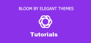 How To Install bloom WordPress Plugin