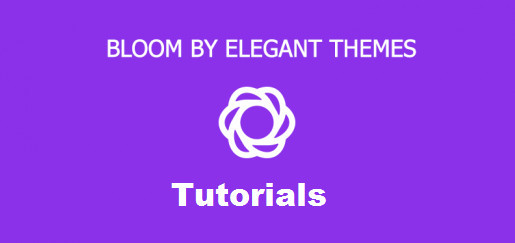 How to install and Setup Bloom WordPress Opt-in plugin