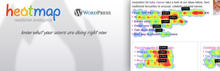 Best Heatmap WordPress plugins