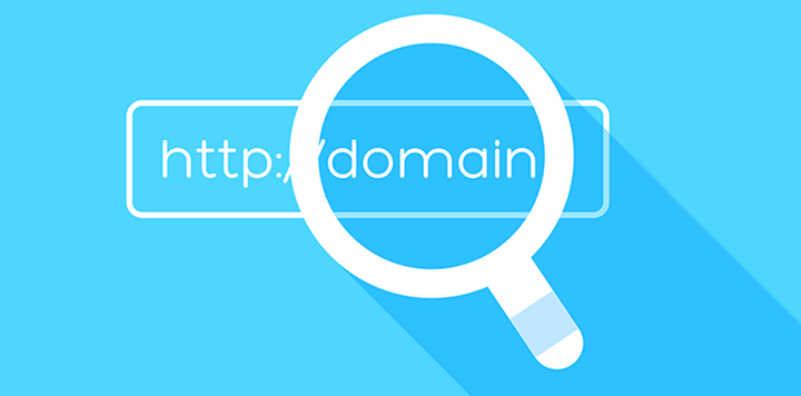 Domain Checker WordPress plugin