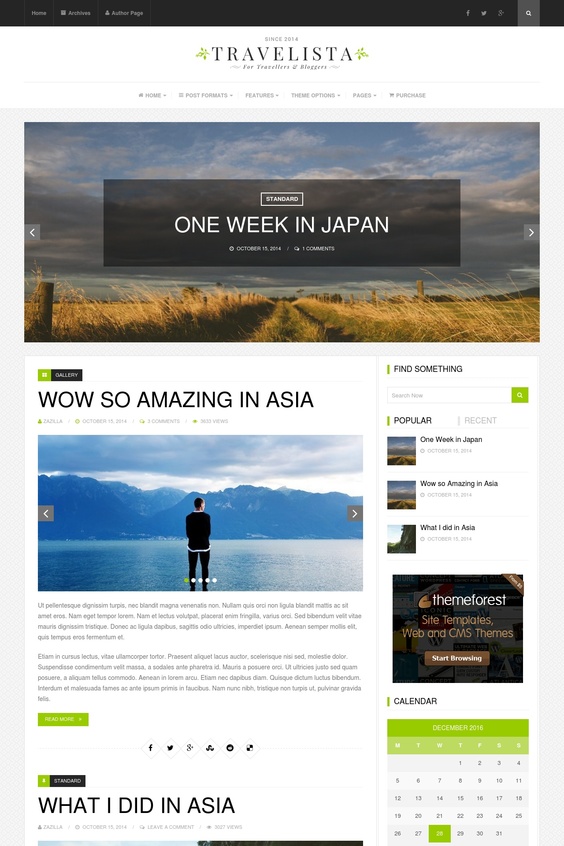 Travel WordPress Theme