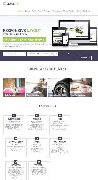 WordPress Classified Theme