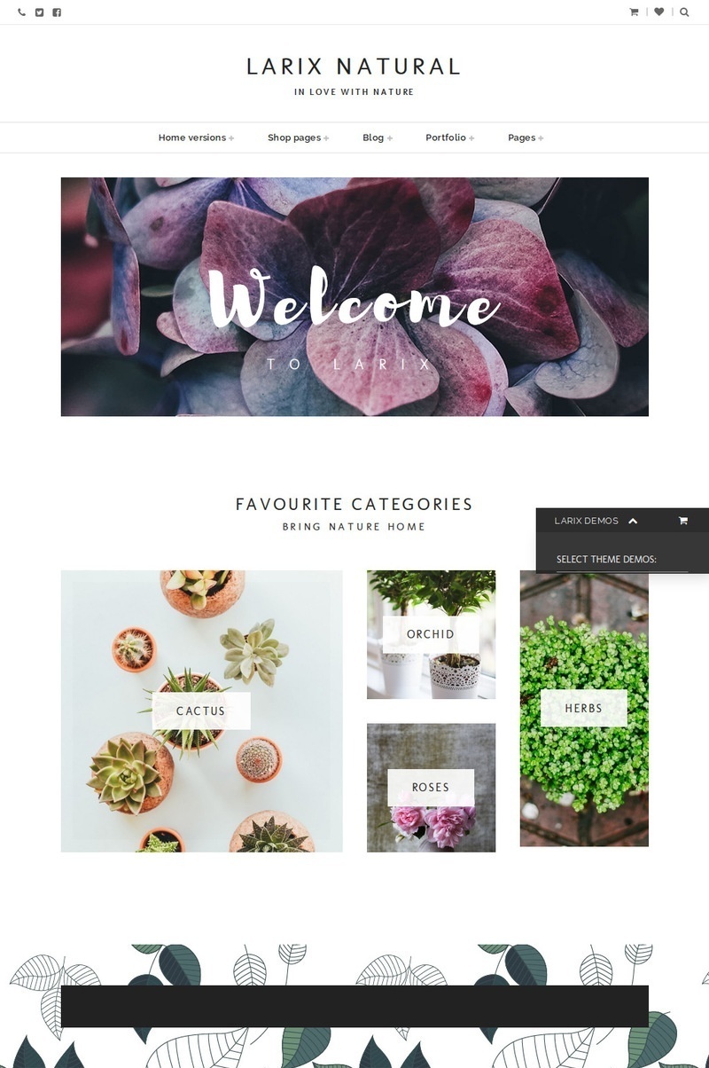 Multipurpose WordPress Themes