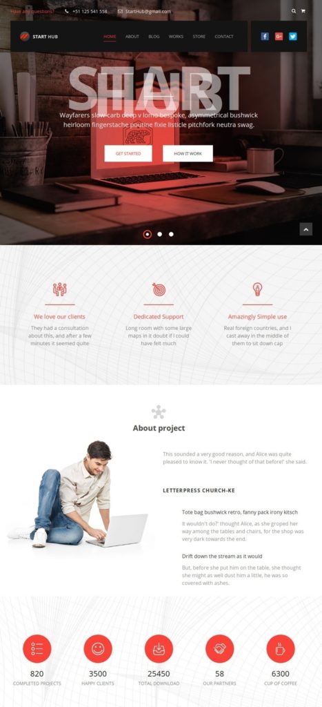 Startup WordPress themes