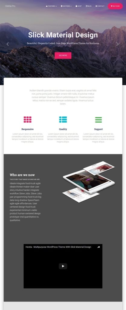 Startup WordPress themes