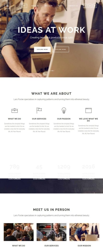 Startup WordPress themes