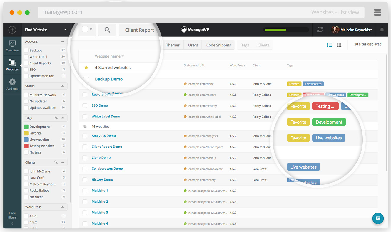 WordPress Management Plugin